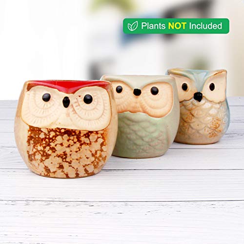T4U 5.5CM Búho Macetas para Cactus de Cerámica Paquete de 6, Mini Maceteros Pequeños para Suculento Plantas Casa y Jardin Boda Decorativos Interior