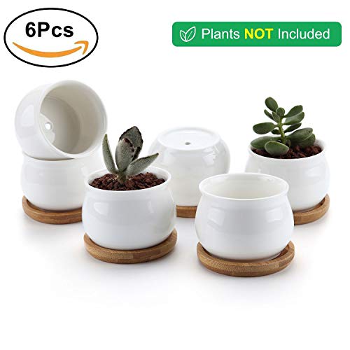 T4U Conjunto de 6 Ceramica Blanca Diseño de la Forma del Tarro Cerámicos Planta Maceta Suculento Cactus Planta Maceta Planta Contenedor Vivero Maceta Macetas de jardín Macetas Envase