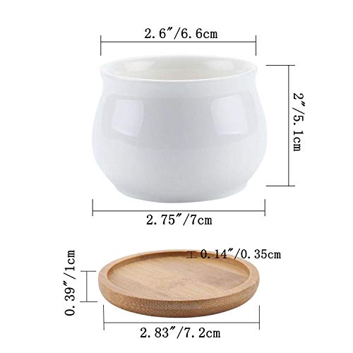 T4U Conjunto de 6 Ceramica Blanca Diseño de la Forma del Tarro Cerámicos Planta Maceta Suculento Cactus Planta Maceta Planta Contenedor Vivero Maceta Macetas de jardín Macetas Envase