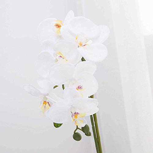 True Holiday Flores Artificiales de orquídea con jarrón de Porcelana Blanca, decoración de Centro de Bonsai Artificial, Flores de plástico, Realista y Realista