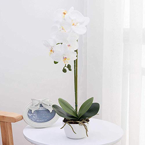 True Holiday Flores Artificiales de orquídea con jarrón de Porcelana Blanca, decoración de Centro de Bonsai Artificial, Flores de plástico, Realista y Realista