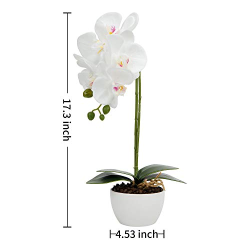 True Holiday Flores Artificiales de orquídea con jarrón de Porcelana Blanca, decoración de Centro de Bonsai Artificial, Flores de plástico, Realista y Realista