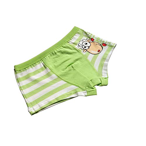 Usex Sense Paquete de 12 Boys Boxer Shorts Niños Boyshorts Calzoncillos Ropa Interior de algodón Suave Bragas 2-12 años(8-11 años,3055XL)