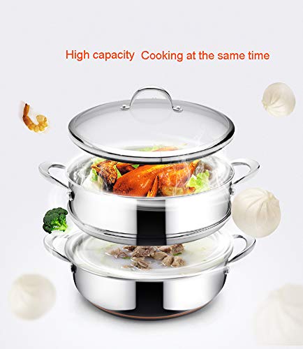 Vaporizador de alimentos de 28 cm, 2 niveles Sartén/caldo Vaporizador con tapa de vidrio y acabado de espejo pulido - Compatible con inducción，vaporera