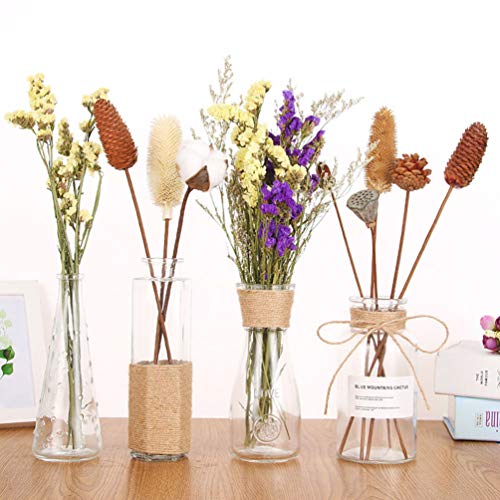 Wakauto 15 Piezas de Pastos de Caña Naturales Flores Secas Realistas Hierba de Cola de Conejo Decoración de Ramo de Flores para La Sala de Estar del Hogar Decoración de Racimos de Flores
