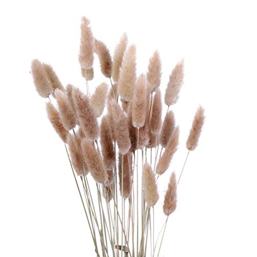 Wakauto 15 Piezas de Pastos de Caña Naturales Flores Secas Realistas Hierba de Cola de Conejo Decoración de Ramo de Flores para La Sala de Estar del Hogar Decoración de Racimos de Flores