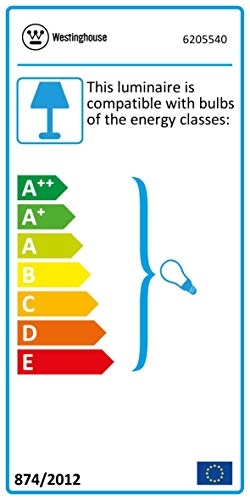 Westinghouse Lighting Lámpara de Techo Colgante de 1 Luz con Vidrio E27, Cromo