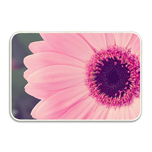 Yuanmeiju Pink Gerbera Daisy Felpudos Alfombra de Entrada Non-Slip Indoor Outdoor Floor Door Rug Bathroom Mats Home Decor 15.7x23.6 inch/40x60cm