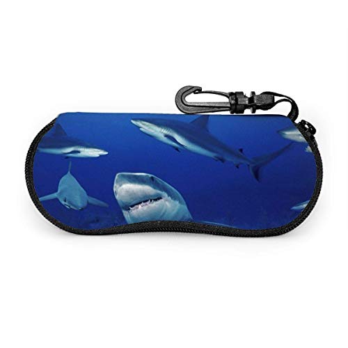 YZXC Estuche para gafas de sol, bandera de las Islas Vírgenes de los Estados Unidos, color blanco, talla única