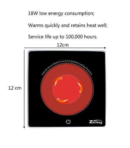 Zoiibuy Calentador de Mug 220V ，Calentador del café del USB ，Tesoro termostático ，Taza Térmica de Vidrio Impermeable con Placa térmica eléctrica