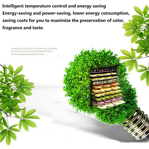 10 Capas deshidratador de alimentos máquina de fruta y carne Secadora, acero inoxidable de las frutas, verduras, cecina 100% BPA, pantalla LED, 24 Hr temporizador digital, vidrio templado puerta 110V