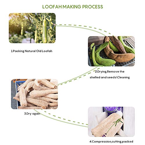 10 Piezas Loofah Esponja, Loofah Para Lavar Platos, Natural Esponja Estropajo, para Cocina, Biodegradable, Cero Residuos(7*11 cm)