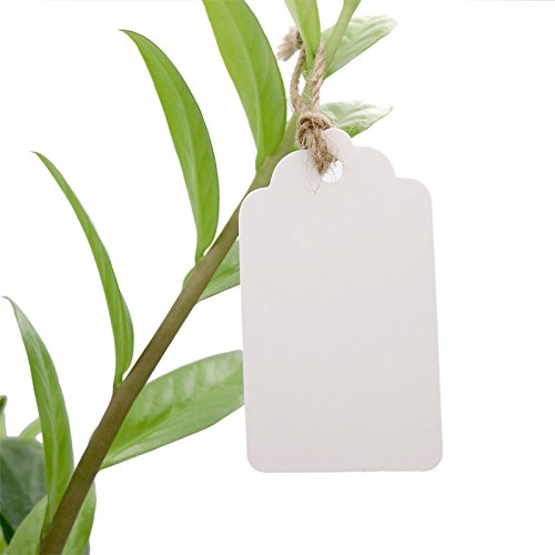 100 Etiquetas de Papel Kraft blanca Etiquetas de Regalo con 30 Metros de Cuerda de Yute para Boda Equipaje Decoración 7 x 4 cm blanco