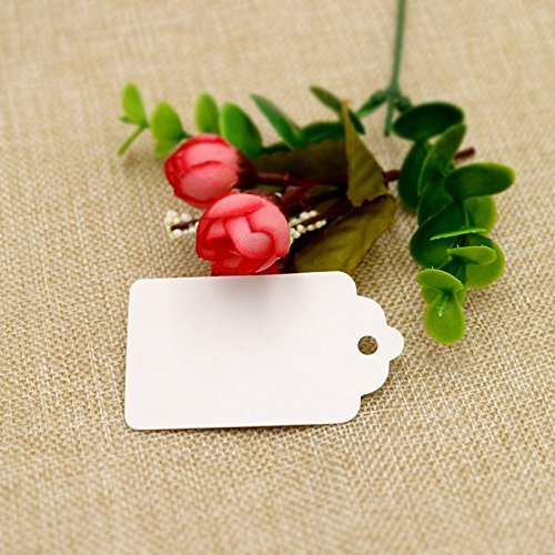 100 Etiquetas de Papel Kraft blanca Etiquetas de Regalo con 30 Metros de Cuerda de Yute para Boda Equipaje Decoración 7 x 4 cm blanco