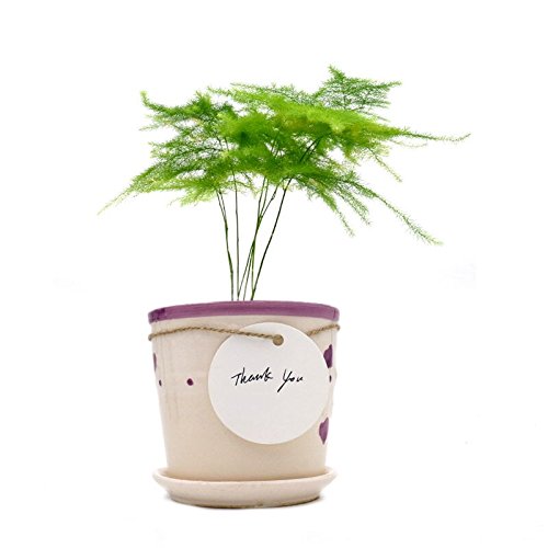100 pcs Etiquetas Redondas Etiquetas Papel Kraft 5,5 cm Etiquetas de Regalo Blancas con Cuerda de Yute para Artesanales Precio Boda Bricolaje