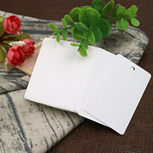 100 piezas Etiquetas de Papel Kraft Etiquetas Regalo 9x4,5 cm con 30M Cordel de Yute para Bodas Navidad Cumpleaños Artesanía Equipaje (blanco)