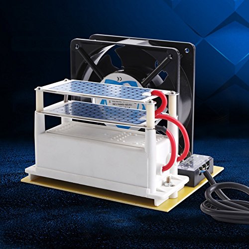 110V/220V 10g/h Generador de Ozono,Purificadores de Aire con Ozono Ventilador Ozono de Placa de Cerámica Doble con Ventilador para Secadora,Lavavajillas,Refrigerador,Purificador de Aire(EU)