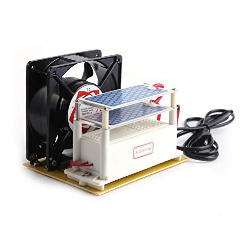 110V/220V 10g/h Generador de Ozono,Purificadores de Aire con Ozono Ventilador Ozono de Placa de Cerámica Doble con Ventilador para Secadora,Lavavajillas,Refrigerador,Purificador de Aire(EU)