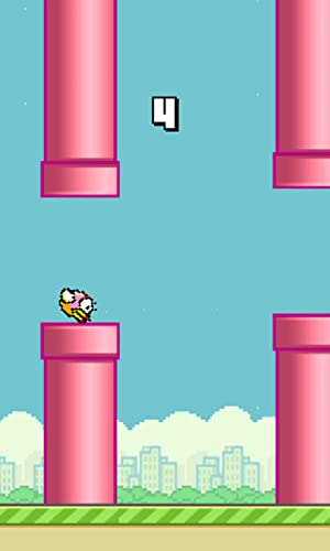 1st Ms Flippin'Bird