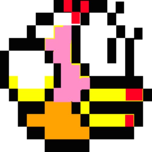 1st Ms Flippin'Bird