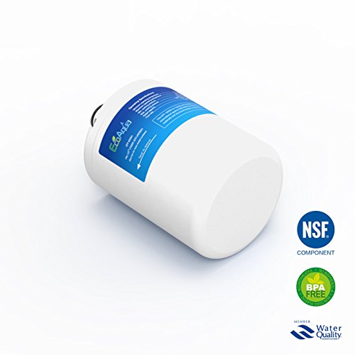 1x EcoAqua EFF-6005A Compatible LG LT500P - 5231JA2002A - 5231JA2002A-S filtro GRP207NGU Nevera