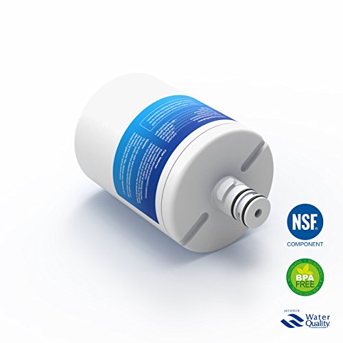 1x EcoAqua EFF-6005A Compatible LG LT500P - 5231JA2002A - 5231JA2002A-S filtro GRP207NGU Nevera