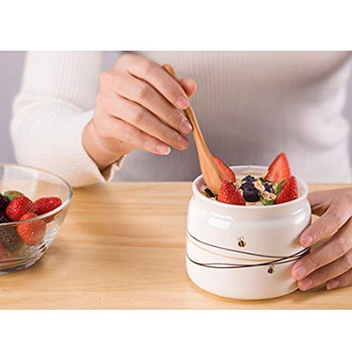 1yess Postre de la Fruta Suave sirven CREA rápida y fácil Delicioso Lácteos Vegano Alternativas a Helado Yogurt Sorbete Incluye Receta