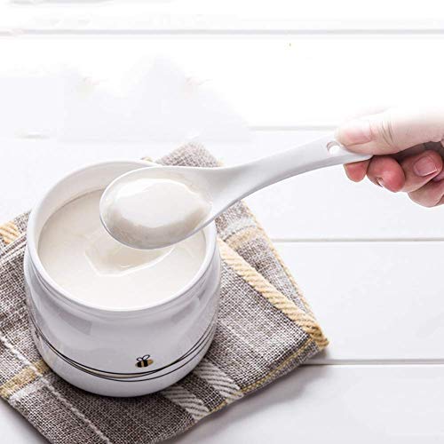 1yess Postre de la Fruta Suave sirven CREA rápida y fácil Delicioso Lácteos Vegano Alternativas a Helado Yogurt Sorbete Incluye Receta