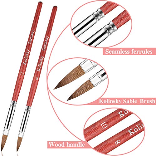 2 Cepillos de Kolinsky Sable Cepillo de Uñas de Acrílico Cristal con Mango de Madera Cepillo de Uñas Ondulado Ovalado Pluma Pincel de Uñas Redonda para Herramientas de Maricura, Talla 8, Talla 10
