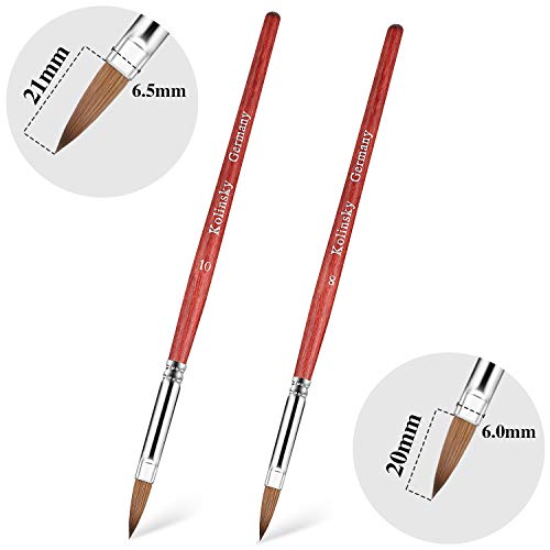 2 Cepillos de Kolinsky Sable Cepillo de Uñas de Acrílico Cristal con Mango de Madera Cepillo de Uñas Ondulado Ovalado Pluma Pincel de Uñas Redonda para Herramientas de Maricura, Talla 8, Talla 10