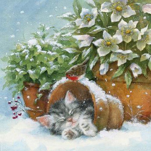 20 servilletas de gato en maceta, estrella de Navidad, animales, invierno, Navidad, 33 x 33 cm