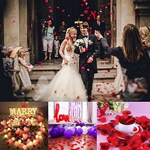 3000 Piezas Pétalos de Rosa, Hermosos Rojo Flores de Rose para el banquete de boda y la atmósfera romántica - Perfecta Día de San Valentín & Bodas Decoración