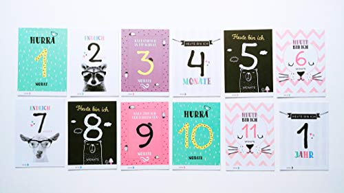 40 Baby Meilenstein-Karten für das 1. Lebensjahr für Mädchen und Junge. Baby Milestone Cards deutsch, zur Erinnerung der Entwicklung der ersten ... Geburt, Schwangerschaft, Taufe oder Baby Show