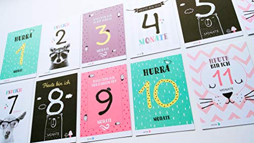 40 Baby Meilenstein-Karten für das 1. Lebensjahr für Mädchen und Junge. Baby Milestone Cards deutsch, zur Erinnerung der Entwicklung der ersten ... Geburt, Schwangerschaft, Taufe oder Baby Show