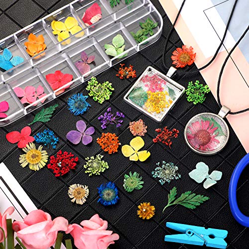 5 Cajas de Flores Secas Naturales Flores Secas Reales Flores Secas de Uñas para Joyería de Resina, Fabricación de Velas, Arte de Uñas, Artesanía de Fabricación de Bricolaje