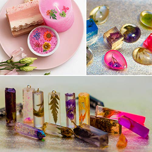 5 Cajas de Flores Secas Naturales Flores Secas Reales Flores Secas de Uñas para Joyería de Resina, Fabricación de Velas, Arte de Uñas, Artesanía de Fabricación de Bricolaje