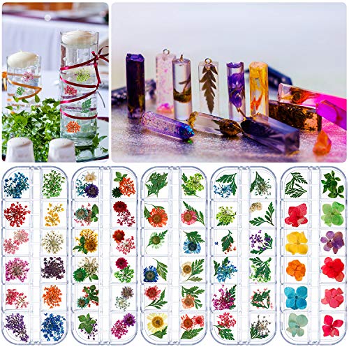 5 Cajas de Flores Secas Naturales Flores Secas Reales Flores Secas de Uñas para Joyería de Resina, Fabricación de Velas, Arte de Uñas, Artesanía de Fabricación de Bricolaje