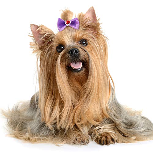 60 Piezas de Arcos de Pelo de Perro con Bandas de Goma Lazos de Pelo de Perro de Diseño Múltiple Arco Lindo Colorido Tocados de Pares de Diamantes Perla Flor Falso de Perro con Peine para Mascotas