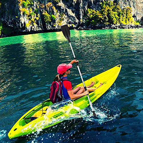 78Henstridge Remos Aluminio de Doble Longitud Total 203 cm Convertibles en Uno Se Puede Dividir en 4 Secciones para Sup Kayak Piragua Canoa Barco