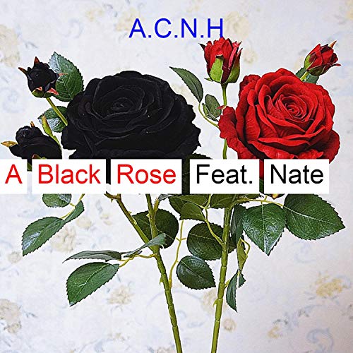 A Black Rose (feat. Nate) [Explicit]