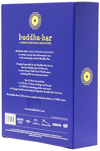 A night buddha bar hotel by ravin