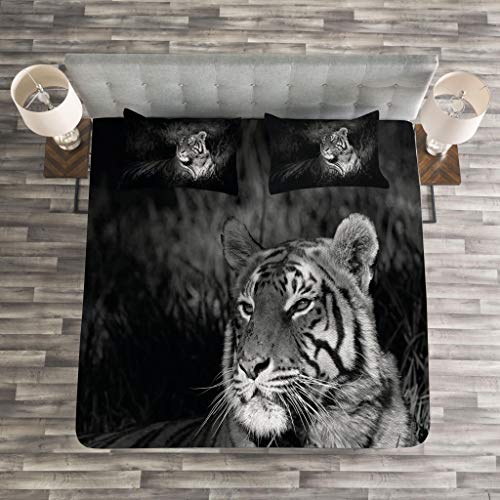 ABAKUHAUS Negro y Blanco Cubrecama, Tigre de Bengala Recostado en el Césped África Sabana Imagen Monocromática, Decoración para el Cuarto, 264 x 220 cm, Negro
