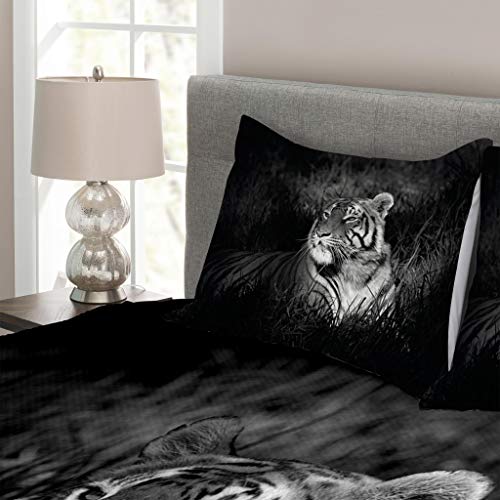 ABAKUHAUS Negro y Blanco Cubrecama, Tigre de Bengala Recostado en el Césped África Sabana Imagen Monocromática, Decoración para el Cuarto, 264 x 220 cm, Negro