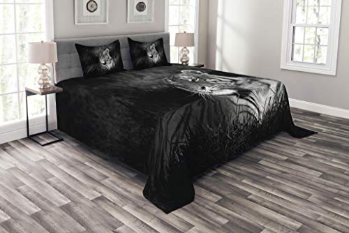 ABAKUHAUS Negro y Blanco Cubrecama, Tigre de Bengala Recostado en el Césped África Sabana Imagen Monocromática, Decoración para el Cuarto, 264 x 220 cm, Negro