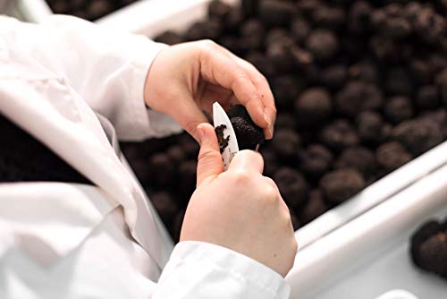 Aceite de Oliva Virgen Extra con Trufa Negra - AOVE con Tuber Melanosporum - 100ml. Trufa de invierno de Sarrión, Teruel.