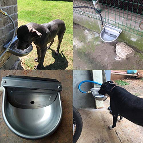Acero Inoxidable Cuenco Waterer Automático Caballo Ganado Cabra de Cerdo Perro de Cerdo Válvula de Flotación de Agua A Través de Suministros de la Granja