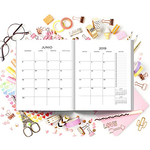 Agenda escolar 2018-2019: 190 x 235 mm : Agenda 2018-2019 semana vista español : 160 g/m² : Agenda semanal 12 meses: flamencos rosados en trullo 4619