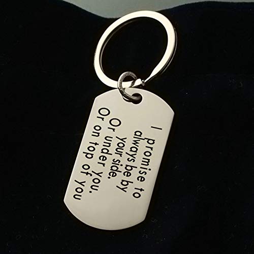 Aimrio Joyería Regalo de llaveros de Acero Inoxidable Etiqueta de Perro grabada I Promise to Always be Your Side Plata Encantos Colgantes de Llavero