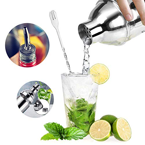 Aiooy Cocktail Shaker,Coctelera, Coctelera Para Cocteles, Cocktail Kit, Kit Cocteleria, Cocteleras De 750 ml Con Colador Integrado