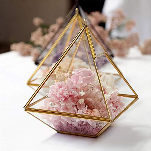 Allibuy-Festival Rosa eterna Invernadero de Cristal de joyería Cajas de Joyas Nunca marchitadas claveles Flores de Rose Regalo for el Día de la Madre símbolo significativo del Amor